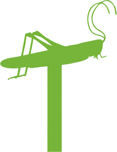 EcoTopia Logo